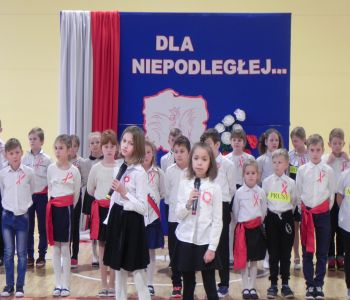 Uroczyste obchody 100-lecia Odzyskania Niepodległości Polski. zdjecie 8