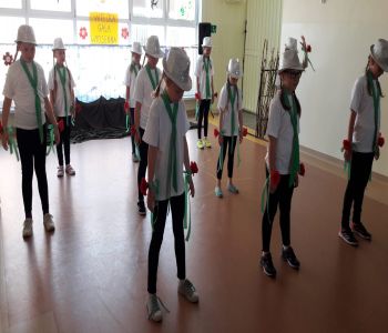 Gala wiosenna. zdjecie 34