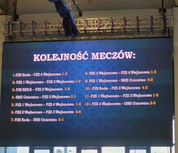 Licealiści z Gniewina Mistrzami Powiatu w Futsalu Chłopców 2024r. zdjecie 0