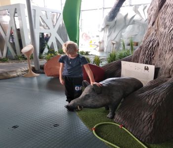 Wycieczka kl. 1A do Centrum Nauki Eksperyment. zdjecie 216