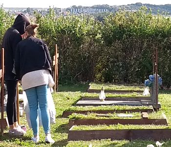 SPRZĄTANIE ŚWIATA zdjecie 7