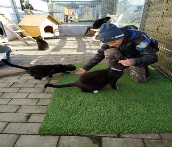 Wizyta klasy 7b w OTOZ ANIMALS Schronisko dla Bezdomnych Zwierząt w Dąbrówce k. Wejherowa zdjecie 7