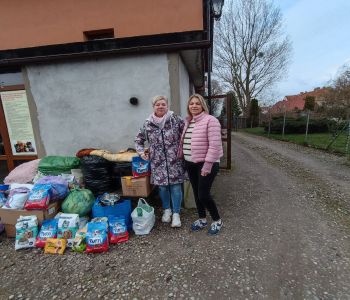 Pomoc dla schroniska. zdjecie 6