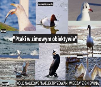 „Naelektryzowani wiedzą” rozwiązują zagadkę tajemniczego zniknięcia Ignacego. zdjecie 2