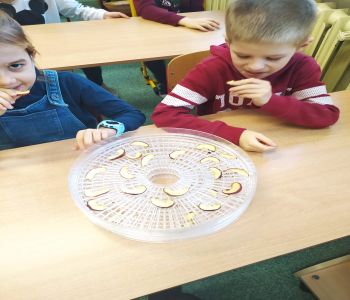 Działania edukacyjne w ramach 
