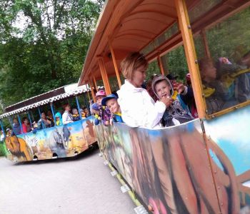 Wycieczka do Zoo zdjecie 3