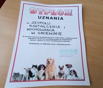 Pomoc dla schroniska. zdjecie 0