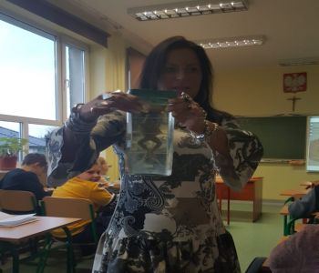 Dzień otwarty szkoły. zdjecie 156