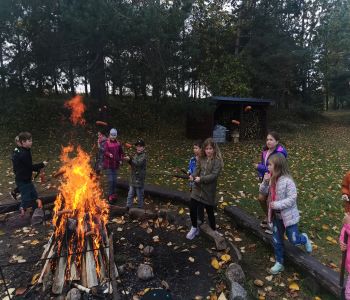 Czy struś chowa głowę w piasek? zdjecie 83