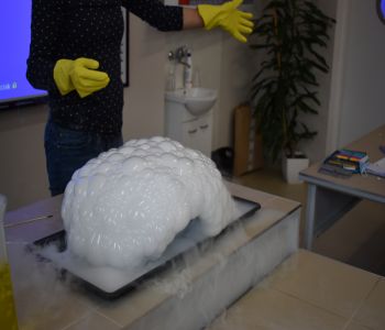 Żywa lekcja chemii zdjecie 0