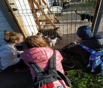 Wizyta klasy 7b w OTOZ ANIMALS Schronisko dla Bezdomnych Zwierząt w Dąbrówce k. Wejherowa zdjecie 6