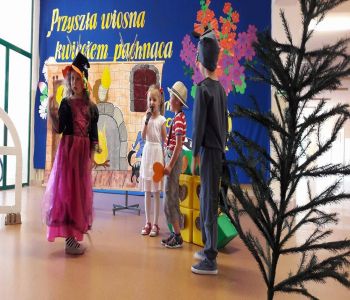Gala wiosenna zdjecie 14