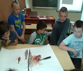 Sprawozdanie z dnia otwartego szkoły podstawowej zdjecie 56