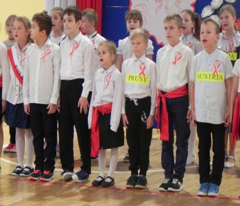 Uroczyste obchody 100-lecia Odzyskania Niepodległości Polski. zdjecie 25