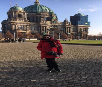 WYCIECZKA SZKOLNA „Z wizytą u zachodnich sąsiadów, Jarmark Bożonarodzeniowy” zdjecie 76