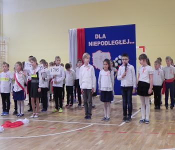 Uroczyste obchody 100-lecia Odzyskania Niepodległości Polski. zdjecie 28