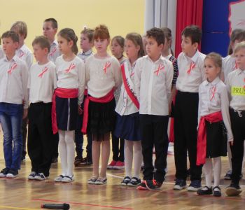 Uroczyste obchody 100-lecia Odzyskania Niepodległości Polski. zdjecie 23