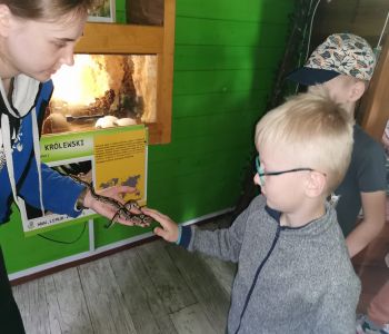 Edukacja i zabawa to świetna sprawa. zdjecie 18