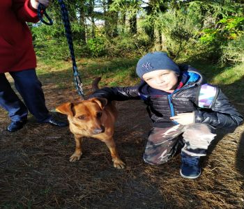 Wizyta klasy 7b w OTOZ ANIMALS Schronisko dla Bezdomnych Zwierząt w Dąbrówce k. Wejherowa zdjecie 4