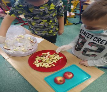Działania edukacyjne w ramach 