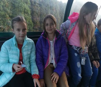 Czy struś chowa głowę w piasek? zdjecie 57