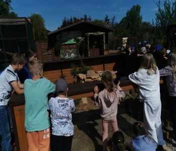 Edukacja i zabawa to świetna sprawa. zdjecie 2