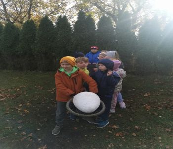 Czy struś chowa głowę w piasek? zdjecie 70