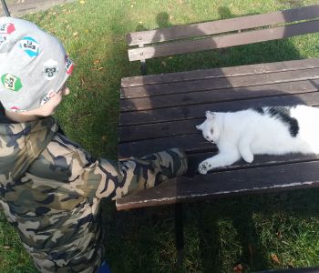 Czy struś chowa głowę w piasek? zdjecie 66