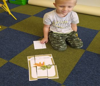 Dzień warzyw i owoców. zdjecie 48