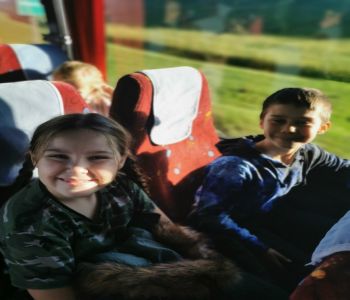 Czy struś chowa głowę w piasek? zdjecie 101