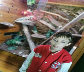Edukacja i zabawa to świetna sprawa. zdjecie 3