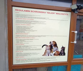 Pomoc dla schroniska. zdjecie 1