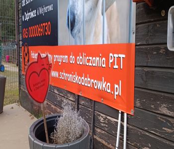 Z wizytą w schronisku. zdjecie 8