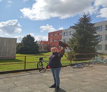 Żywa lekcja przyrody z ptakami drapieżnymi. zdjecie 8