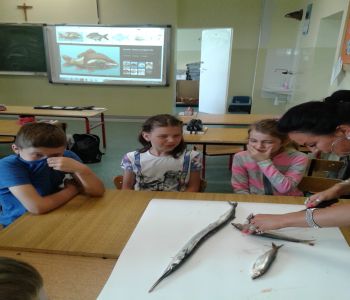 Sprawozdanie z dnia otwartego szkoły podstawowej zdjecie 49