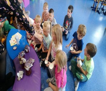 Dzień warzyw i owoców. zdjecie 75