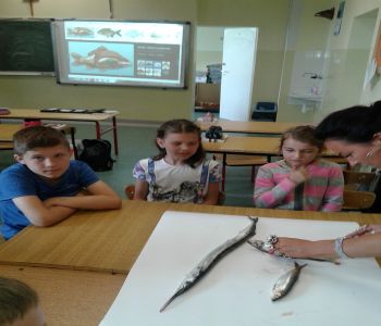 Sprawozdanie z dnia otwartego szkoły podstawowej zdjecie 43