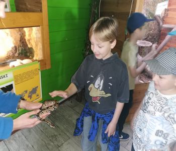 Edukacja i zabawa to świetna sprawa. zdjecie 11