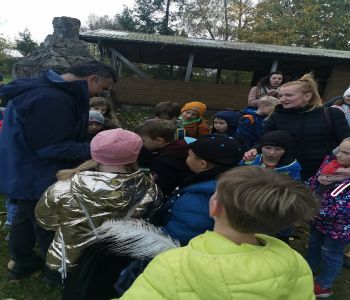 Czy struś chowa głowę w piasek? zdjecie 62