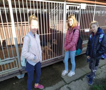 Wizyta klasy 7b w OTOZ ANIMALS Schronisko dla Bezdomnych Zwierząt w Dąbrówce k. Wejherowa zdjecie 2