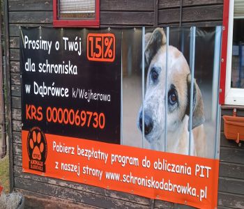 Z wizytą w schronisku. zdjecie 5