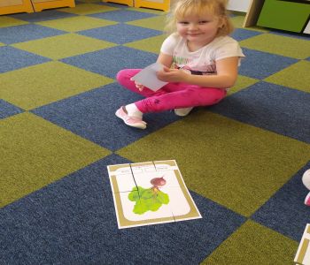 Dzień warzyw i owoców. zdjecie 32