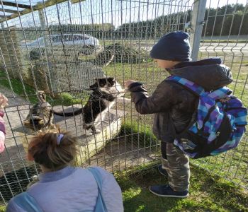 Wizyta klasy 7b w OTOZ ANIMALS Schronisko dla Bezdomnych Zwierząt w Dąbrówce k. Wejherowa zdjecie 5