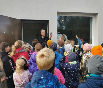 Czy struś chowa głowę w piasek? zdjecie 116