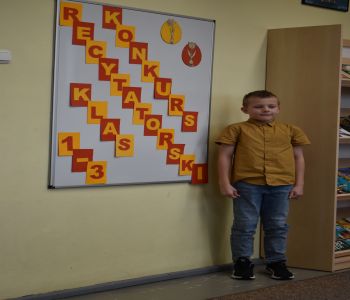  zdjecie 15