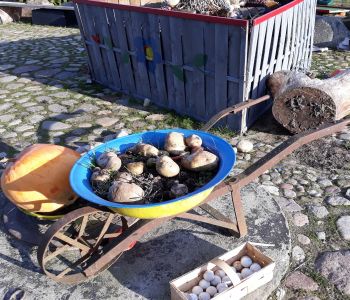 Wycieczka do Doliny Jadwigi zdjecie 6