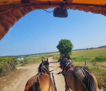 Wycieczka klas 0a i 2c do Słajszewa. zdjecie 27
