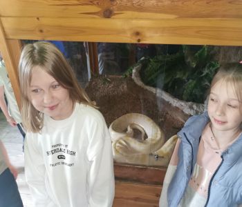 Edukacja i zabawa to świetna sprawa. zdjecie 5