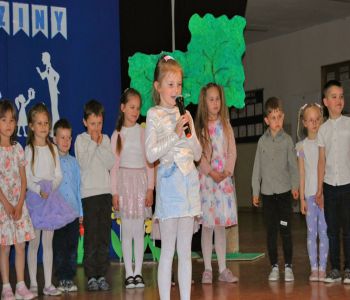  zdjecie 14