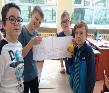 Działania edukacyjne w ramach 